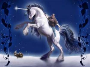 Actual picture* of vanquished spider. *Photoshopped by Ryan Brimer, hubby of Margie Brimer, CP extraordinaire