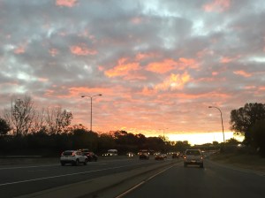 Cotton candy sky on the way into the city.